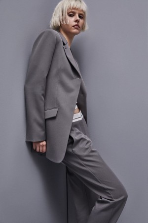 Patrizia Pepe Feminine One-button Jacket Grises | FZRT-16524