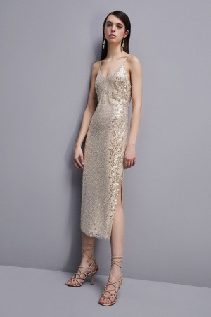 Patrizia Pepe Hand-embroidered Tulle Dress Beige | CLIP-34186