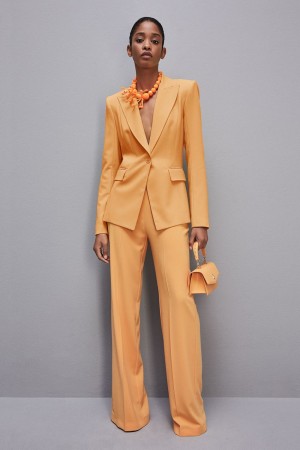 Patrizia Pepe One-button Jacket In Sablè Crepe Fabric Naranjas | MDJN-26917