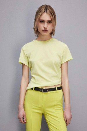 Patrizia Pepe Short-sleeved T-shirt With Logo In Organic Cotton Amarillos | DOAP-52367